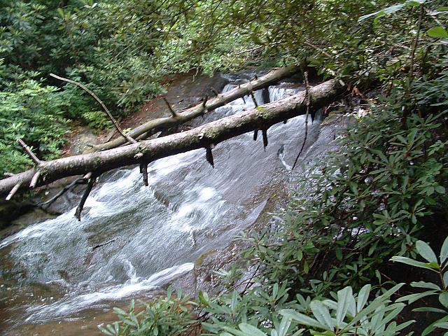 DSCF0061.JPG
