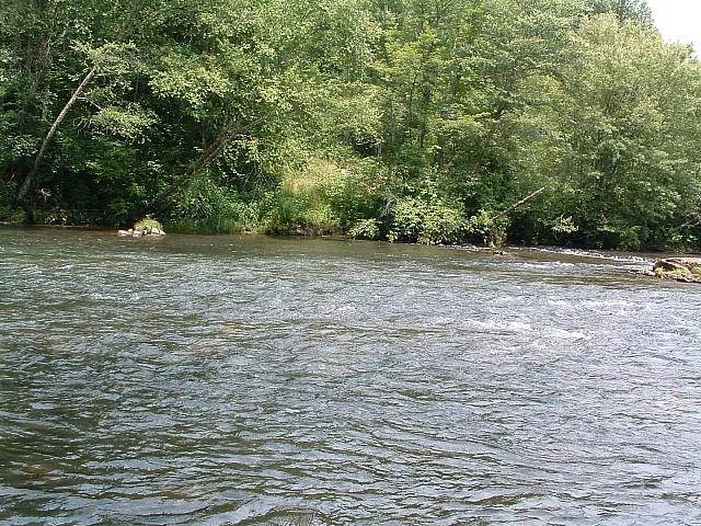 DSCF0064.JPG