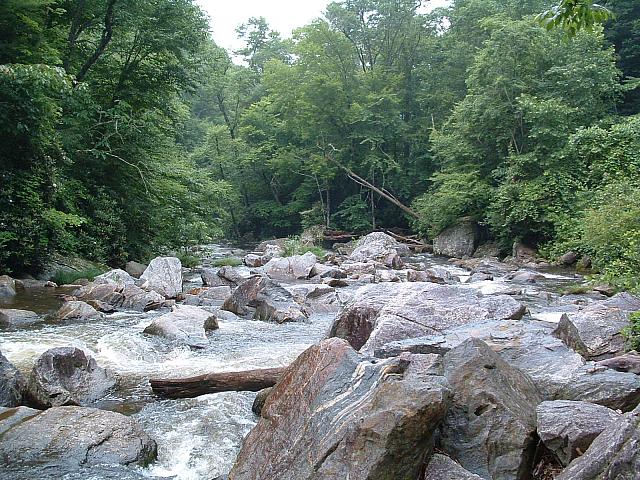 DSCF0080.JPG