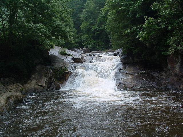 DSCF0081.JPG