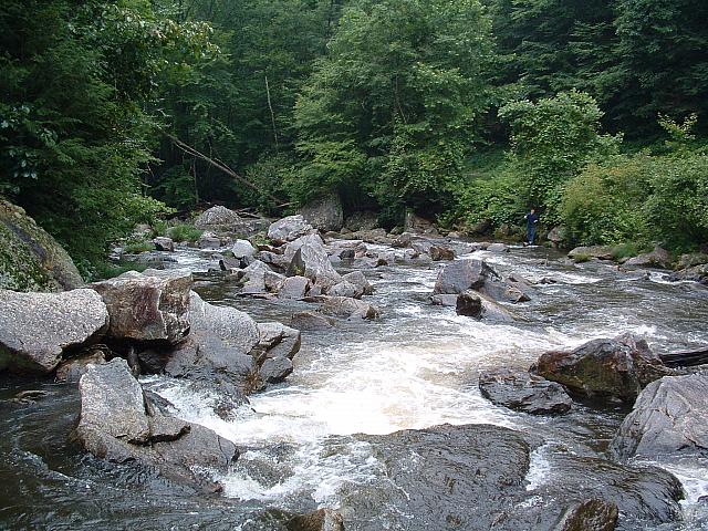 DSCF0082.JPG