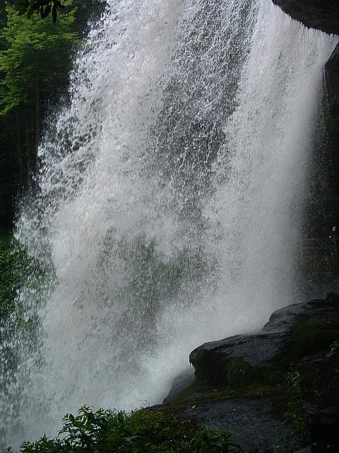 DSCF0091.JPG