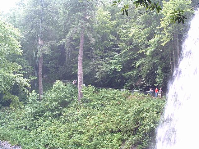 DSCF0095.JPG