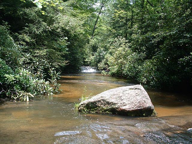 DSCF0124.JPG