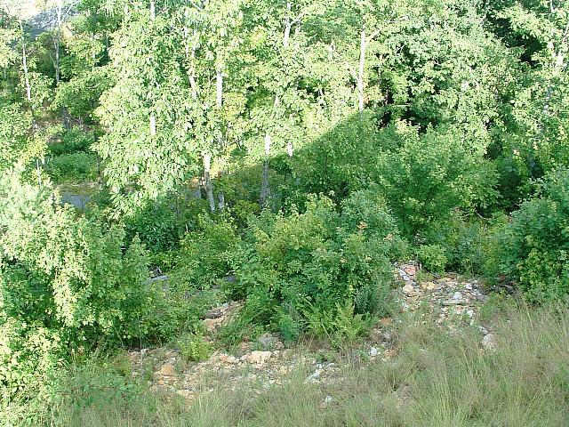 DSCF0006.JPG