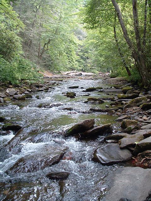 DSCF0038.JPG