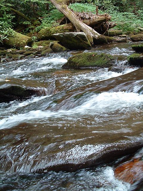 DSCF0039.JPG