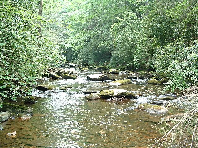 DSCF0044.JPG