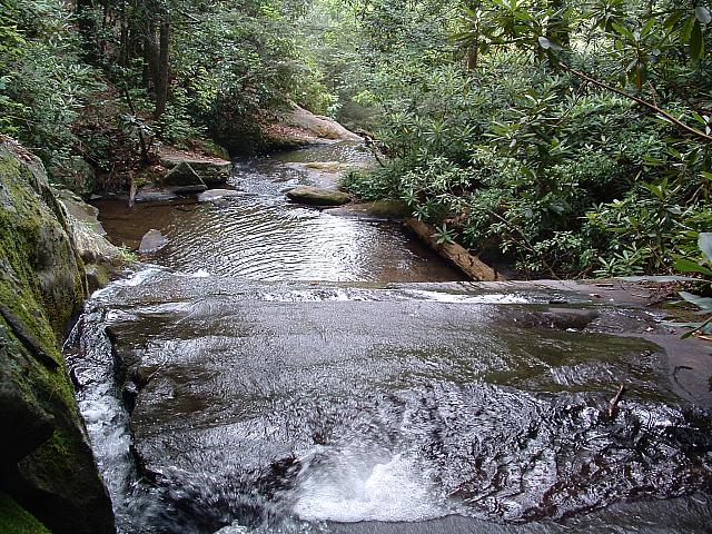 DSCF0046.JPG