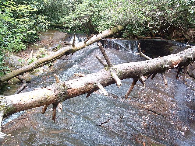 DSCF0048.JPG