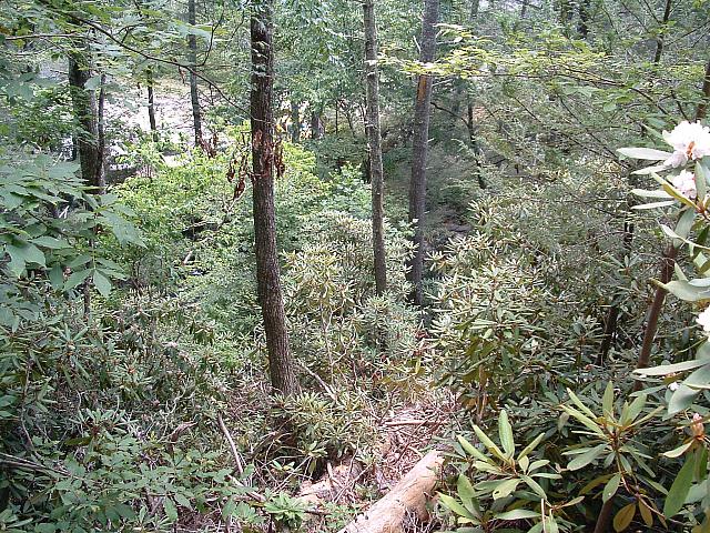 DSCF0055.JPG