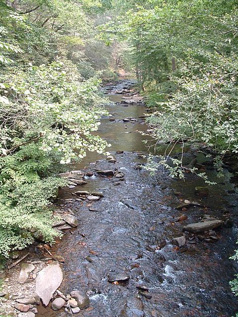 DSCF0056.JPG