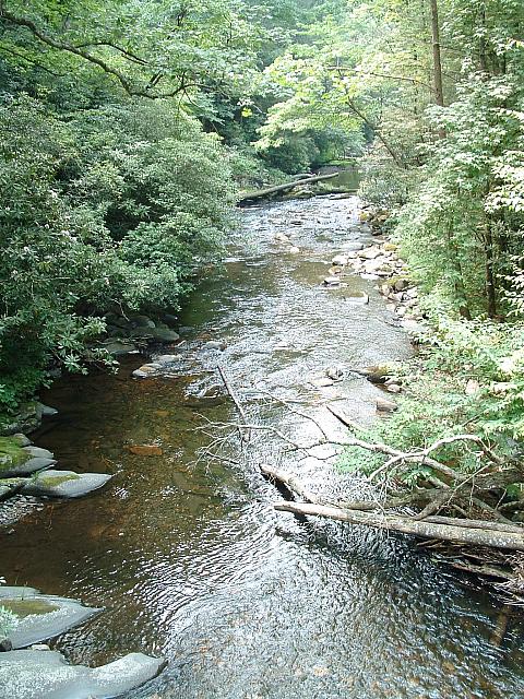 DSCF0057.JPG