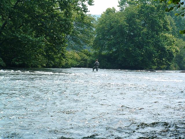 DSCF0070.JPG