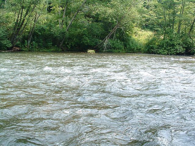 DSCF0071.JPG