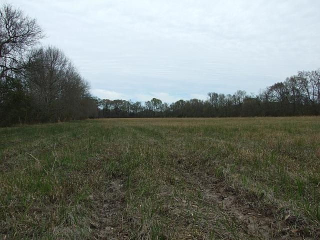 0703040069.JPG