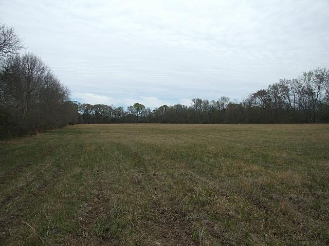 0703040070.JPG