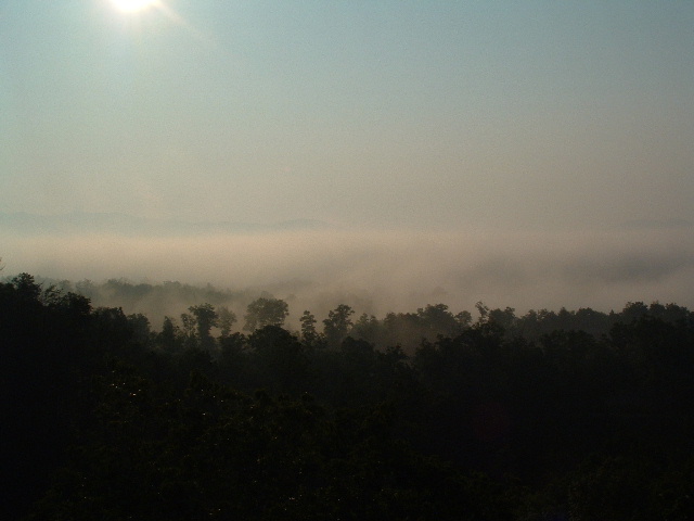 03070406.JPG