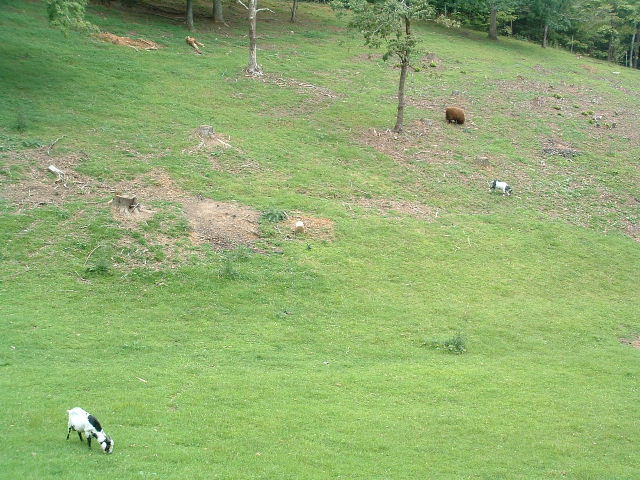 03070539.JPG