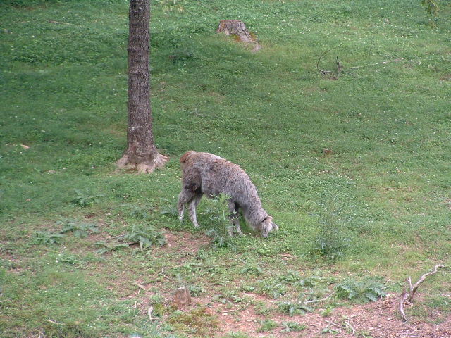 03070540.JPG