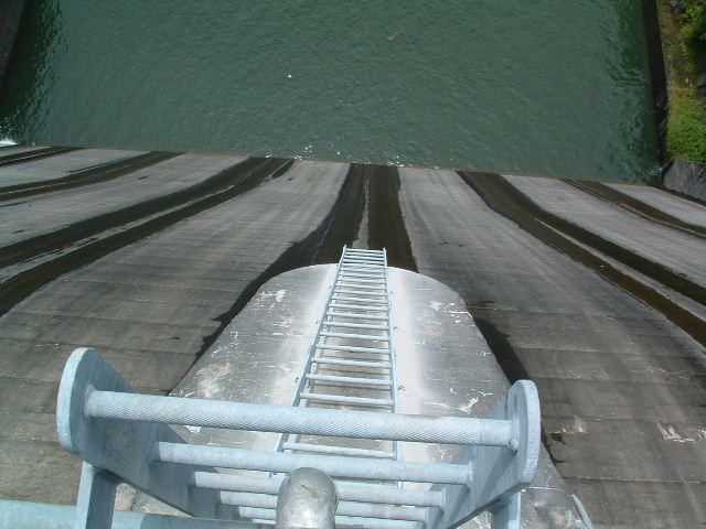 03070554.JPG
