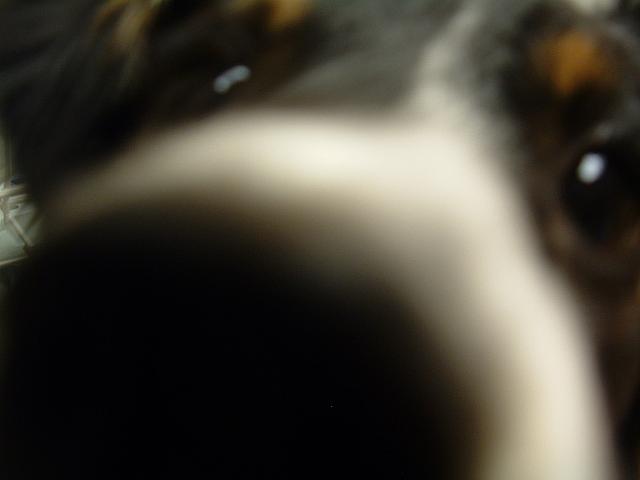 DSCF0003.JPG
