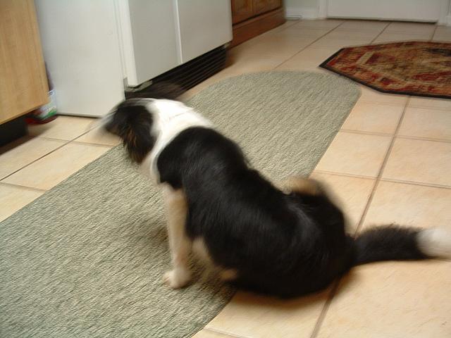 DSCF0004.JPG