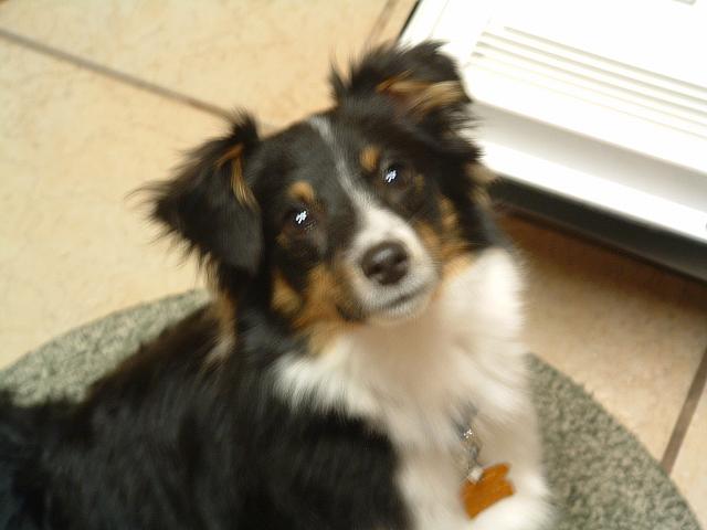 DSCF0007.JPG