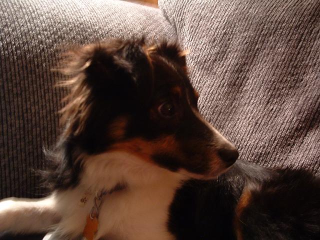 DSCF0012.JPG
