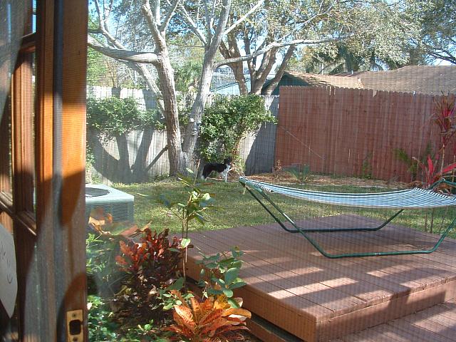 DSCF0013.JPG