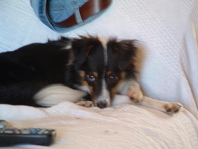 DSCF0021.JPG