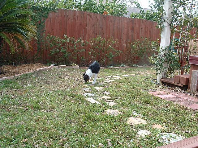 DSCF0027.JPG