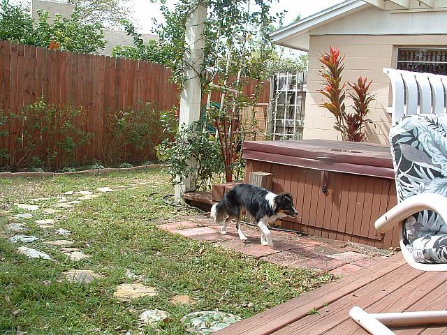 DSCF0028.JPG