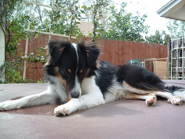 DSCF0030.JPG