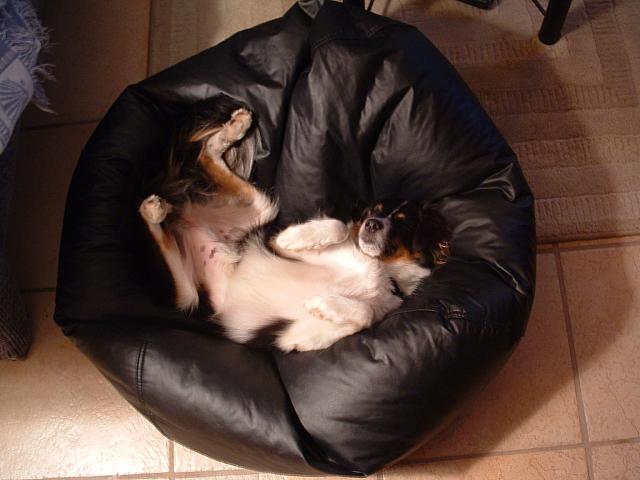 cody0005.JPG