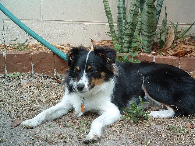 cody0015.JPG
