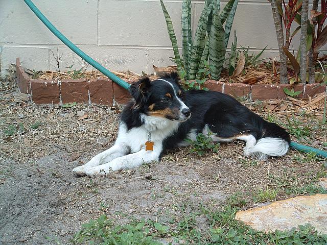 cody0016.JPG