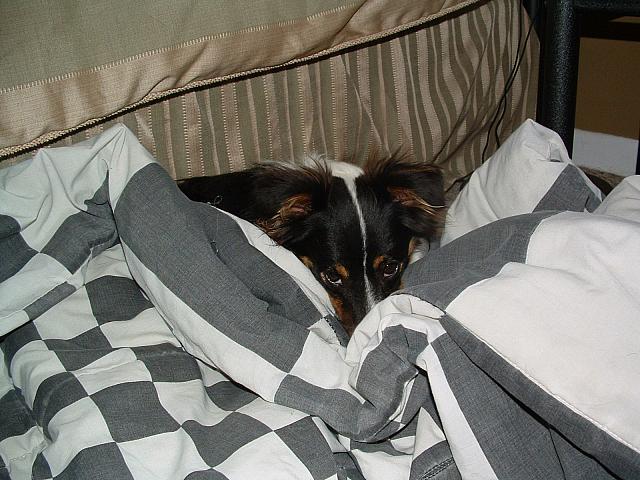 cody0023.JPG