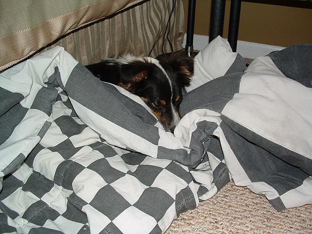 cody0024.JPG