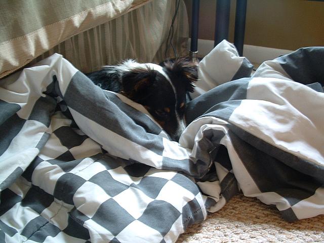 cody0025.JPG