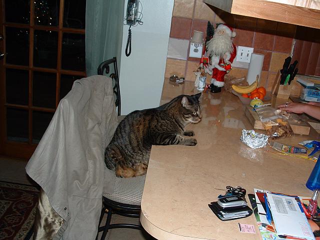 DSCF0001.JPG