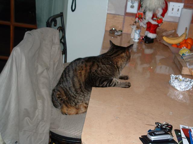 DSCF0002.JPG
