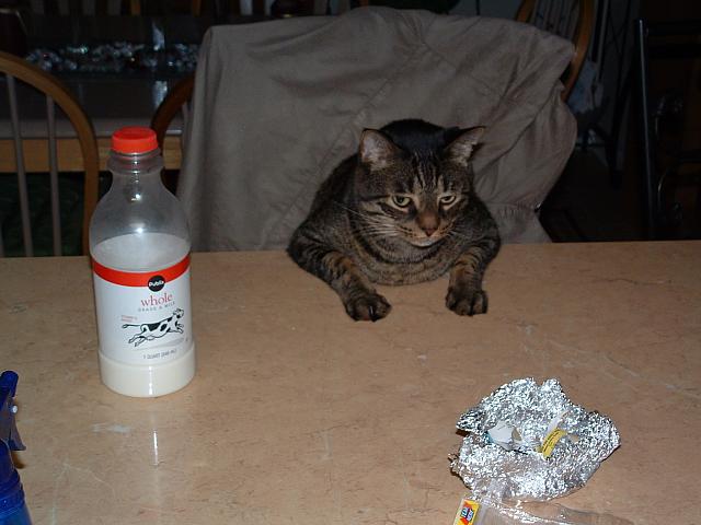 DSCF0005.JPG