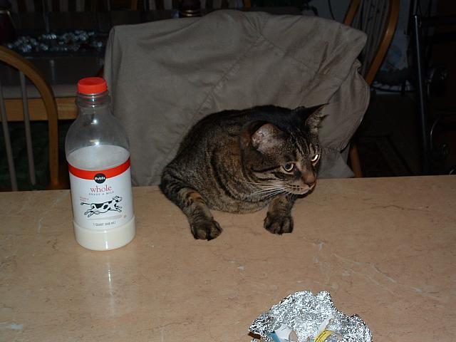 DSCF0006.JPG
