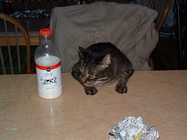DSCF0007.JPG