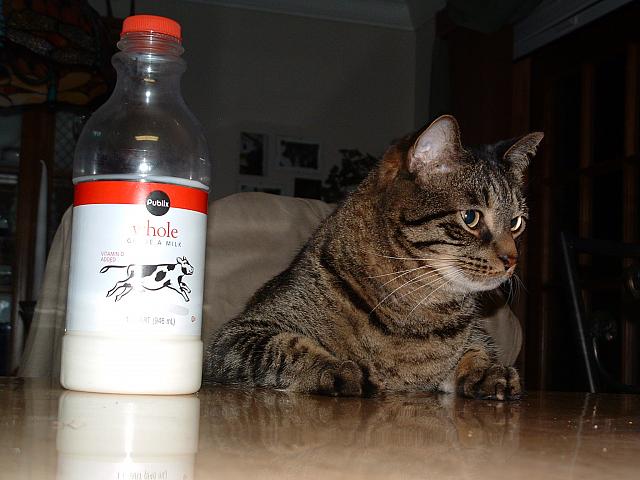 DSCF0009.JPG