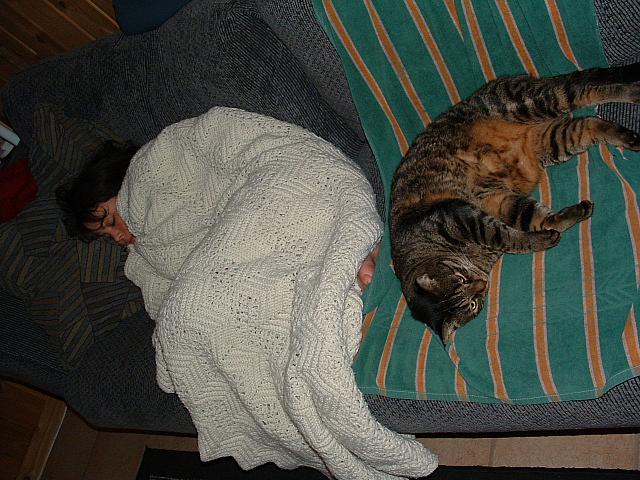 cats-024.JPG