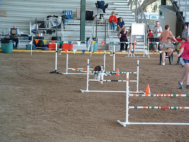 06112645.JPG