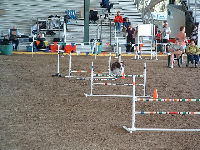06112646.JPG