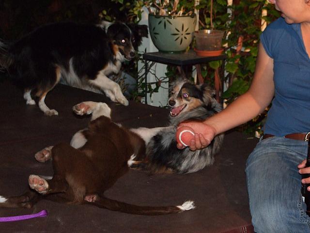 DSCF3153.jpg
